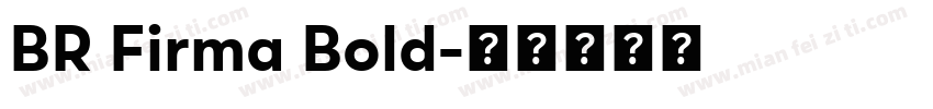 BR Firma Bold字体转换